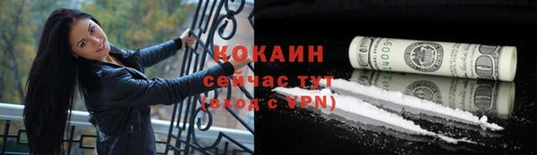 дживик Бронницы