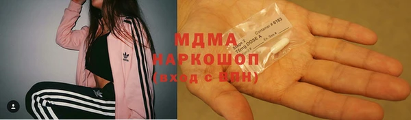 прущие крисы Бородино