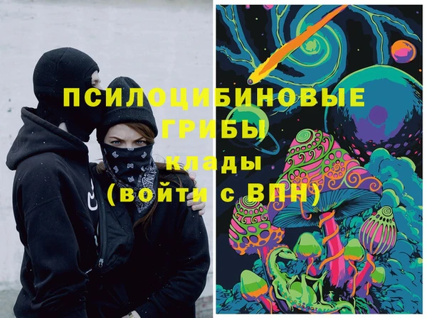 дживик Бронницы