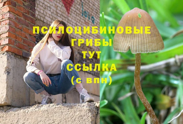 дживик Бронницы