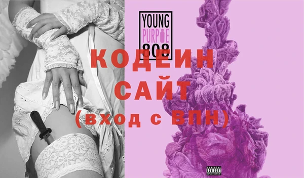 прущие крисы Бородино